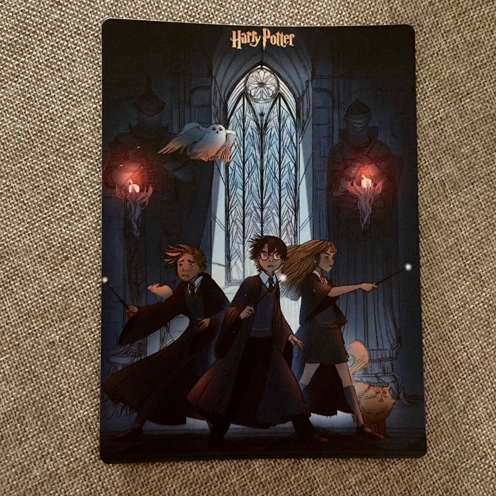 Harry Potter Hermione Magnet - Picture 2 of 4